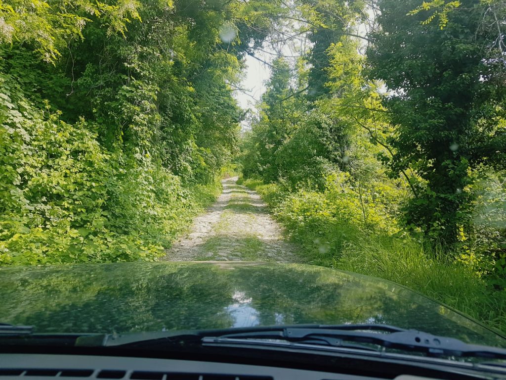 strada sterrata bosco